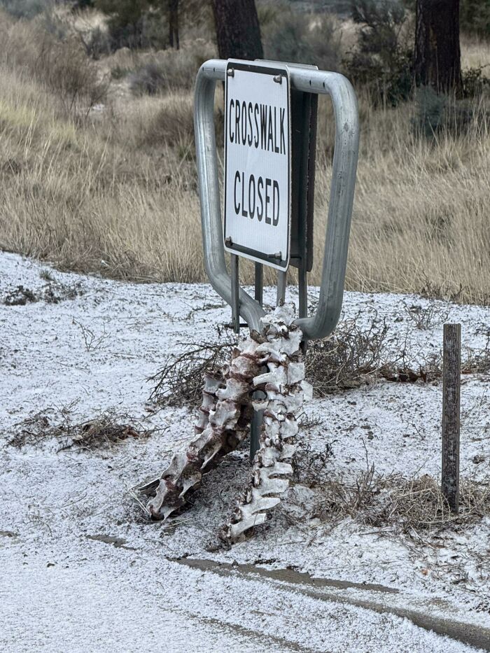 71 Times People Captured Moments So Creepy And Unsettling It Left Them Shaking (New Pics)