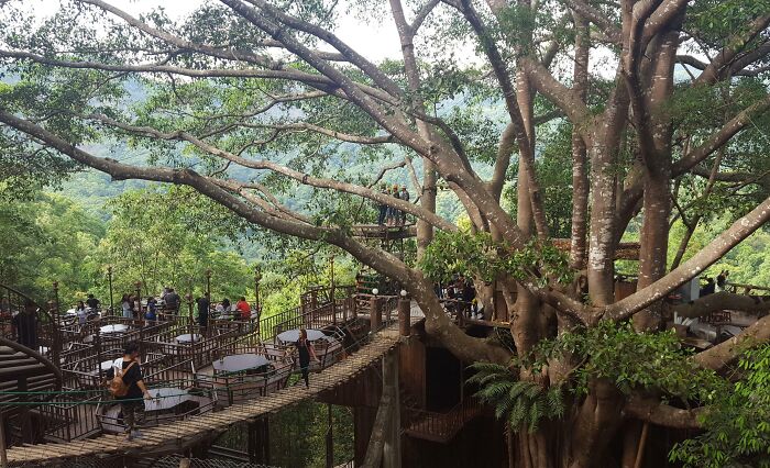 87 Bars And Restaurants Around The World That Deserve 5 Stars For Creativity (New Pics)