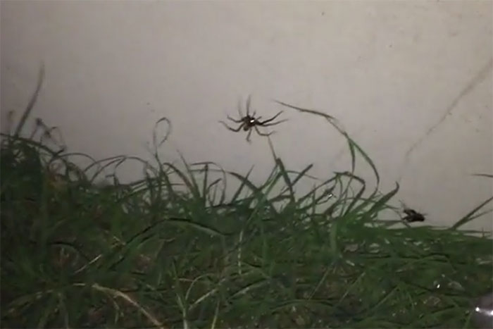 93 People Share The Creepiest Things They&#8217;ve Seen Outdoors And It&#8217;s Terrifying