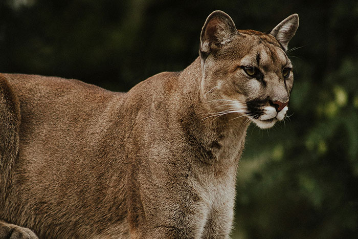 93 People Share The Creepiest Things They&#8217;ve Seen Outdoors And It&#8217;s Terrifying