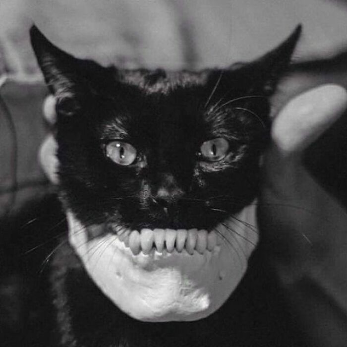94 Weird History Pics That May Change How You See The Past