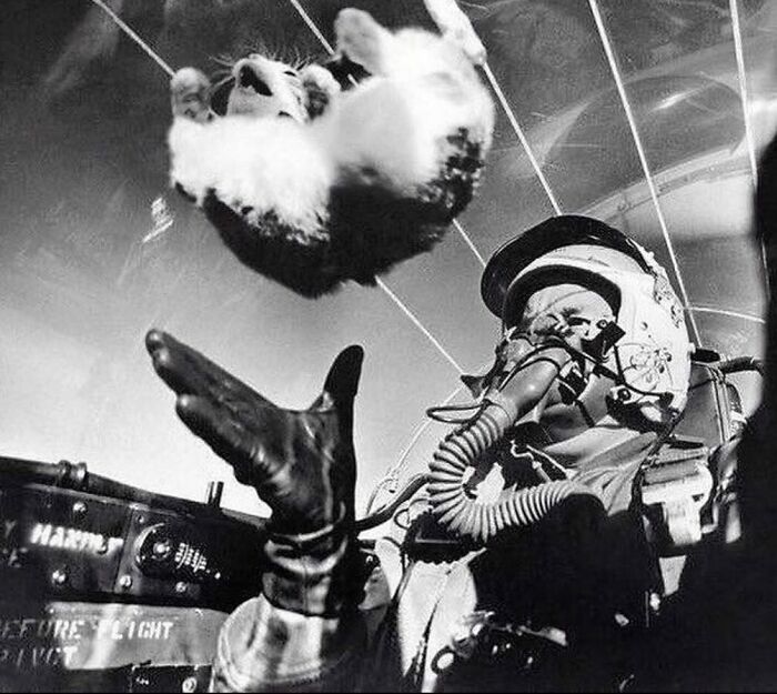 94 Weird History Pics That May Change How You See The Past