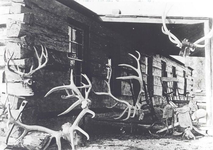 94 Weird History Pics That May Change How You See The Past