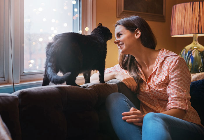 Roomies Start Feud Over Woman’s Cats, Tries To Snatch Deposit, Ends Up Empty Handed After Being Sued