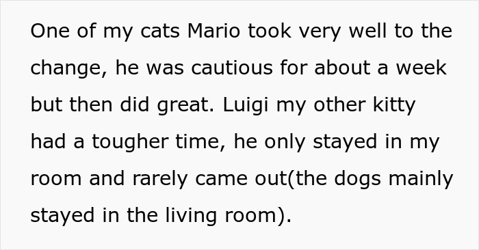 Roomies Start Feud Over Woman’s Cats, Tries To Snatch Deposit, Ends Up Empty Handed After Being Sued