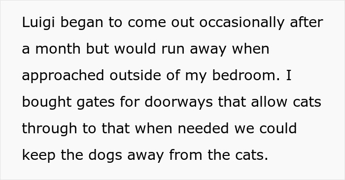 Roomies Start Feud Over Woman’s Cats, Tries To Snatch Deposit, Ends Up Empty Handed After Being Sued