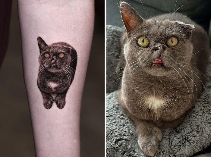 This Master Of Realism Tattoos Is Bringing People&#8217;s Pets To Life On Their Skin (30 New Pics)