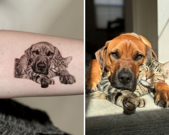 This Master Of Realism Tattoos Is Bringing People&#8217;s Pets To Life On Their Skin (30 New Pics)