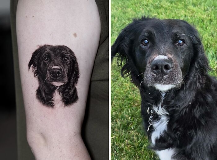 This Master Of Realism Tattoos Is Bringing People&#8217;s Pets To Life On Their Skin (30 New Pics)