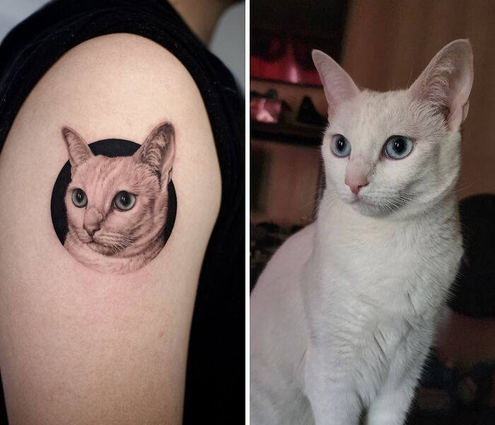 This Master Of Realism Tattoos Is Bringing People&#8217;s Pets To Life On Their Skin (30 New Pics)