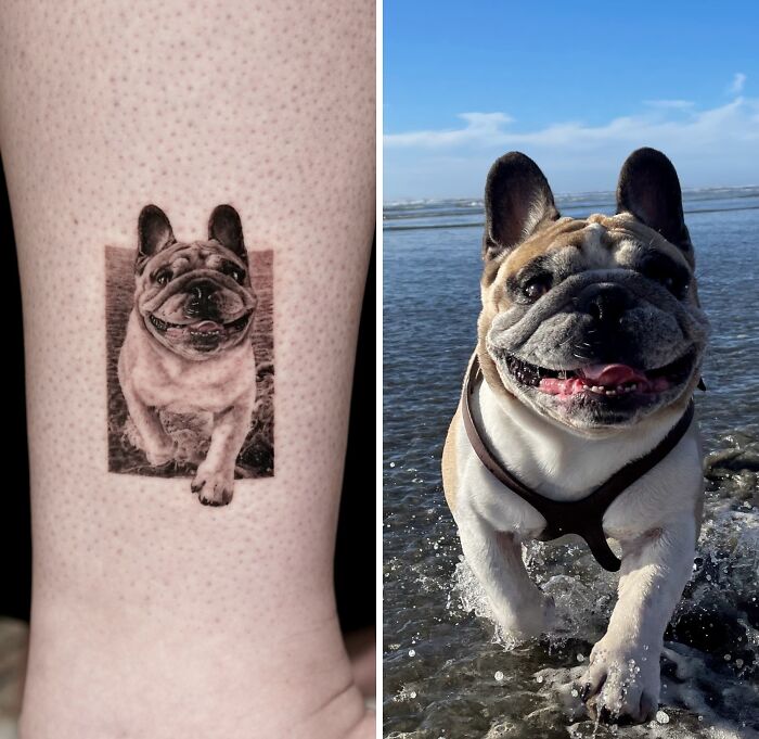 This Master Of Realism Tattoos Is Bringing People&#8217;s Pets To Life On Their Skin (30 New Pics)