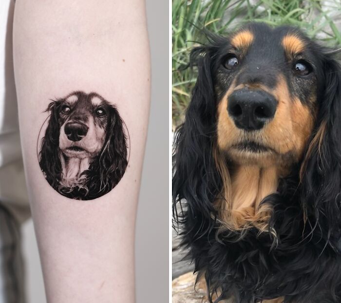 This Master Of Realism Tattoos Is Bringing People&#8217;s Pets To Life On Their Skin (30 New Pics)