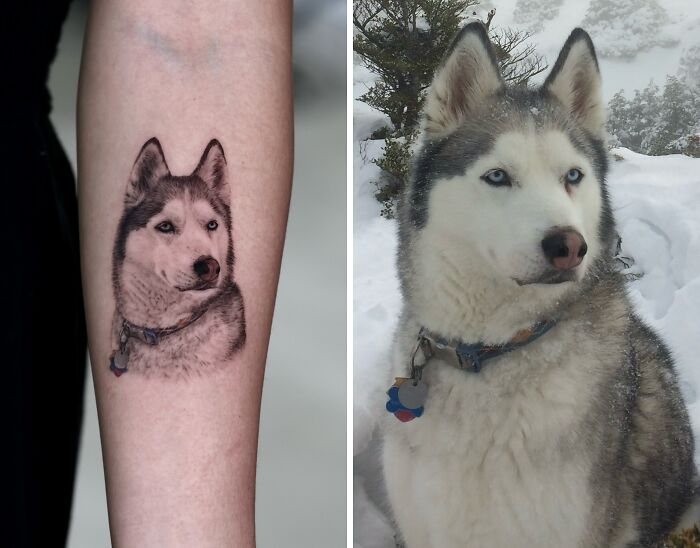 This Master Of Realism Tattoos Is Bringing People&#8217;s Pets To Life On Their Skin (30 New Pics)