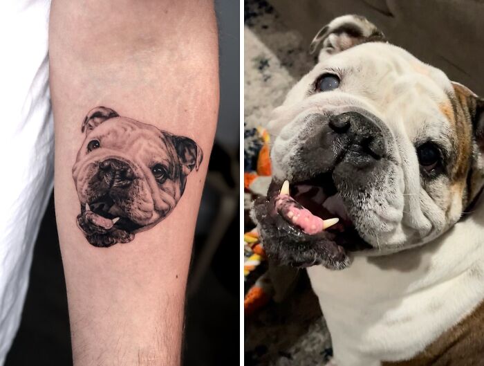 This Master Of Realism Tattoos Is Bringing People&#8217;s Pets To Life On Their Skin (30 New Pics)