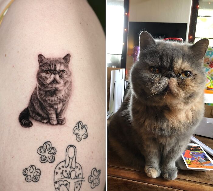 This Master Of Realism Tattoos Is Bringing People&#8217;s Pets To Life On Their Skin (30 New Pics)