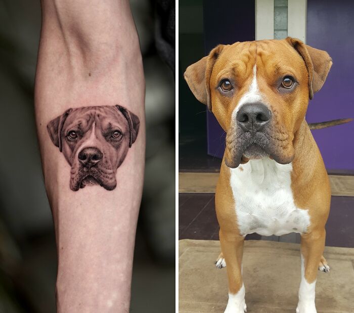This Master Of Realism Tattoos Is Bringing People&#8217;s Pets To Life On Their Skin (30 New Pics)