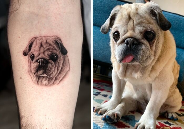 This Master Of Realism Tattoos Is Bringing People&#8217;s Pets To Life On Their Skin (30 New Pics)