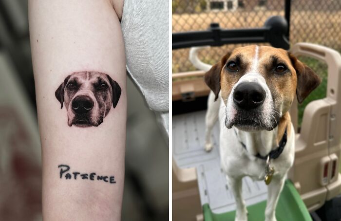 This Master Of Realism Tattoos Is Bringing People&#8217;s Pets To Life On Their Skin (30 New Pics)