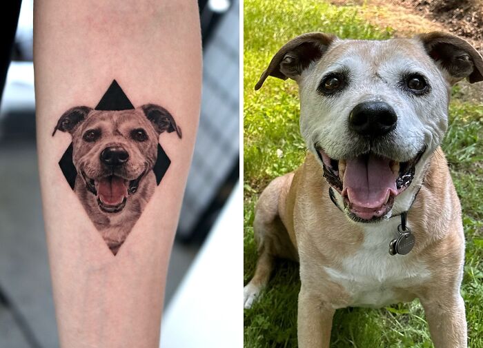 This Master Of Realism Tattoos Is Bringing People&#8217;s Pets To Life On Their Skin (30 New Pics)
