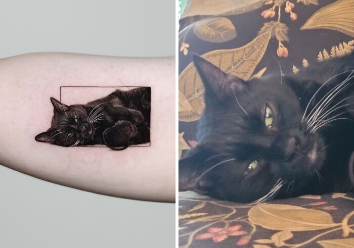 This Master Of Realism Tattoos Is Bringing People&#8217;s Pets To Life On Their Skin (30 New Pics)