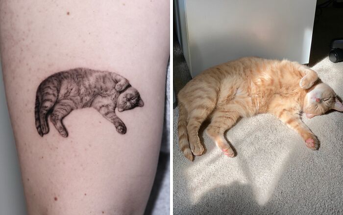 This Master Of Realism Tattoos Is Bringing People&#8217;s Pets To Life On Their Skin (30 New Pics)