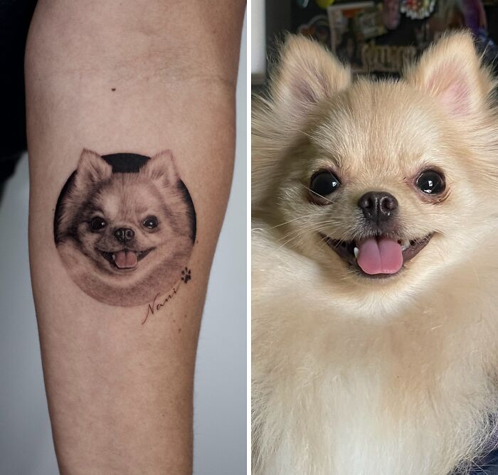 This Master Of Realism Tattoos Is Bringing People&#8217;s Pets To Life On Their Skin (30 New Pics)