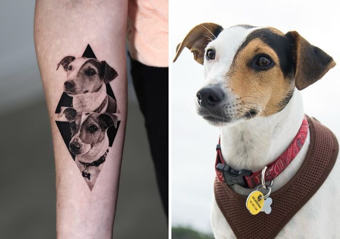 This Master Of Realism Tattoos Is Bringing People&#8217;s Pets To Life On Their Skin (30 New Pics)