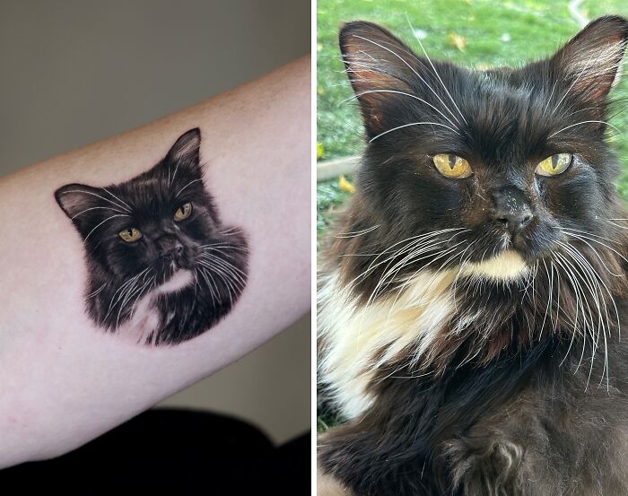 This Master Of Realism Tattoos Is Bringing People&#8217;s Pets To Life On Their Skin (30 New Pics)