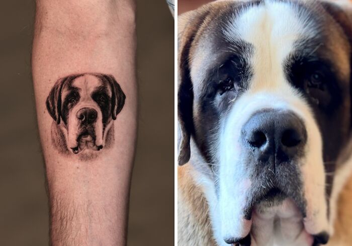 This Master Of Realism Tattoos Is Bringing People&#8217;s Pets To Life On Their Skin (30 New Pics)