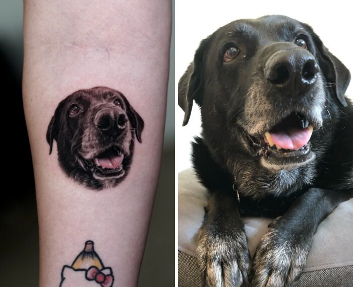 This Master Of Realism Tattoos Is Bringing People&#8217;s Pets To Life On Their Skin (30 New Pics)