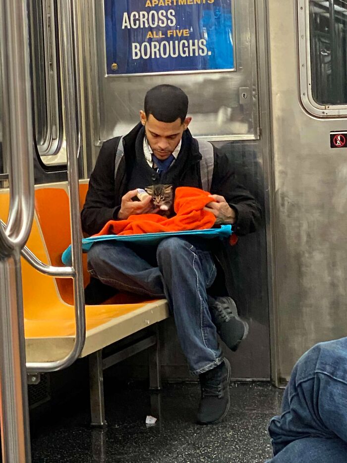 This Guy Casually Bottle-Fed A Kitten On The Subway, Now He’s Threatening To Break The Internet