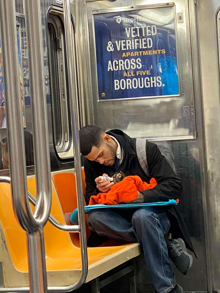 This Guy Casually Bottle-Fed A Kitten On The Subway, Now He’s Threatening To Break The Internet