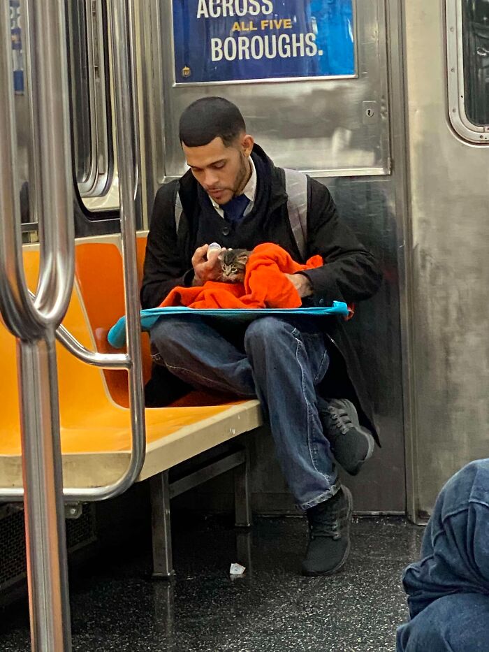 This Guy Casually Bottle-Fed A Kitten On The Subway, Now He’s Threatening To Break The Internet