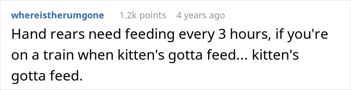 This Guy Casually Bottle-Fed A Kitten On The Subway, Now He’s Threatening To Break The Internet