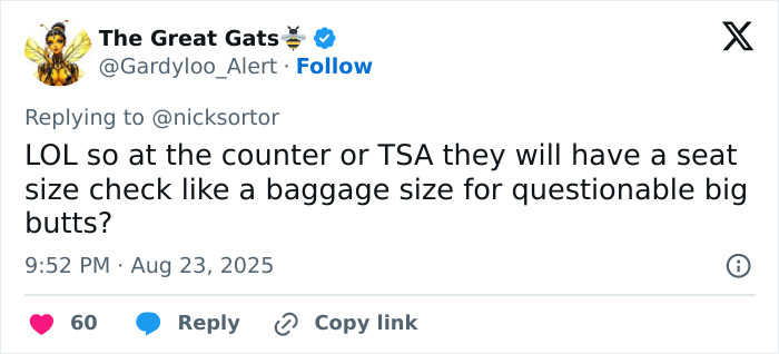 Airline Sparks Outrage With Controversial New Rule Affecting Plus-Size Passengers