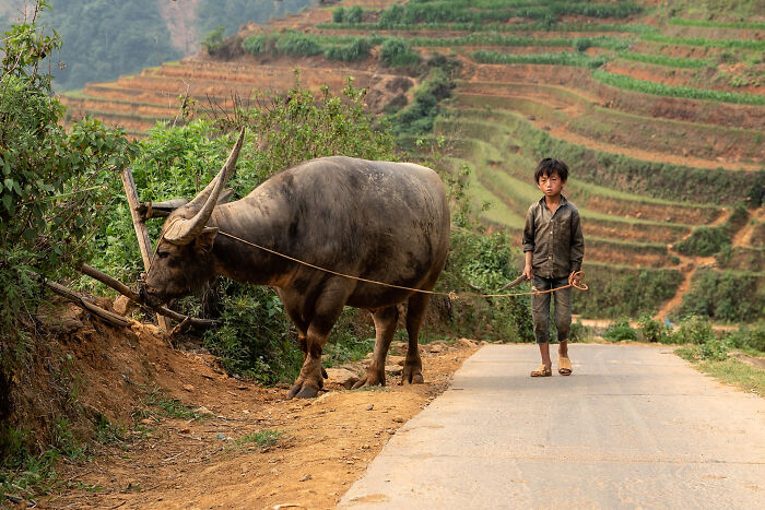Photographer Captures People, Traditions, And Street Scenes From Around The World (50 Pics)
