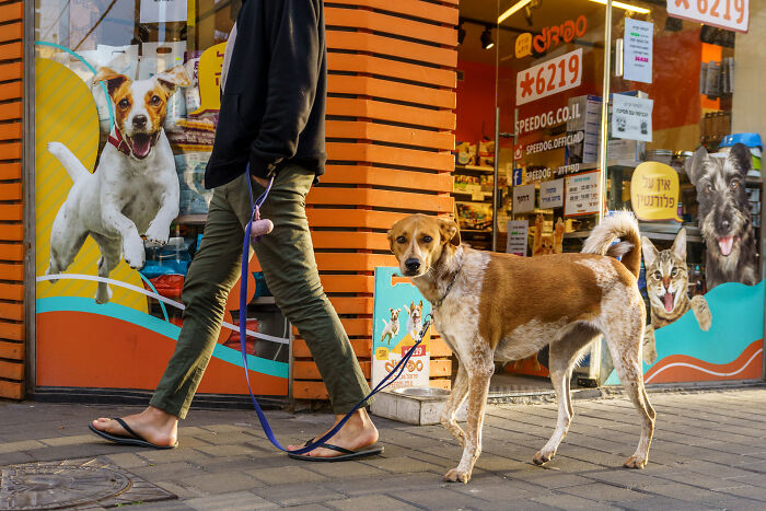 Photographer Captures People, Traditions, And Street Scenes From Around The World (50 Pics)