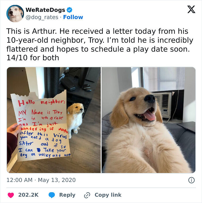 65 People Who Won The Neighbor Lottery Share Their Most Wholesome Moments (New Pics)