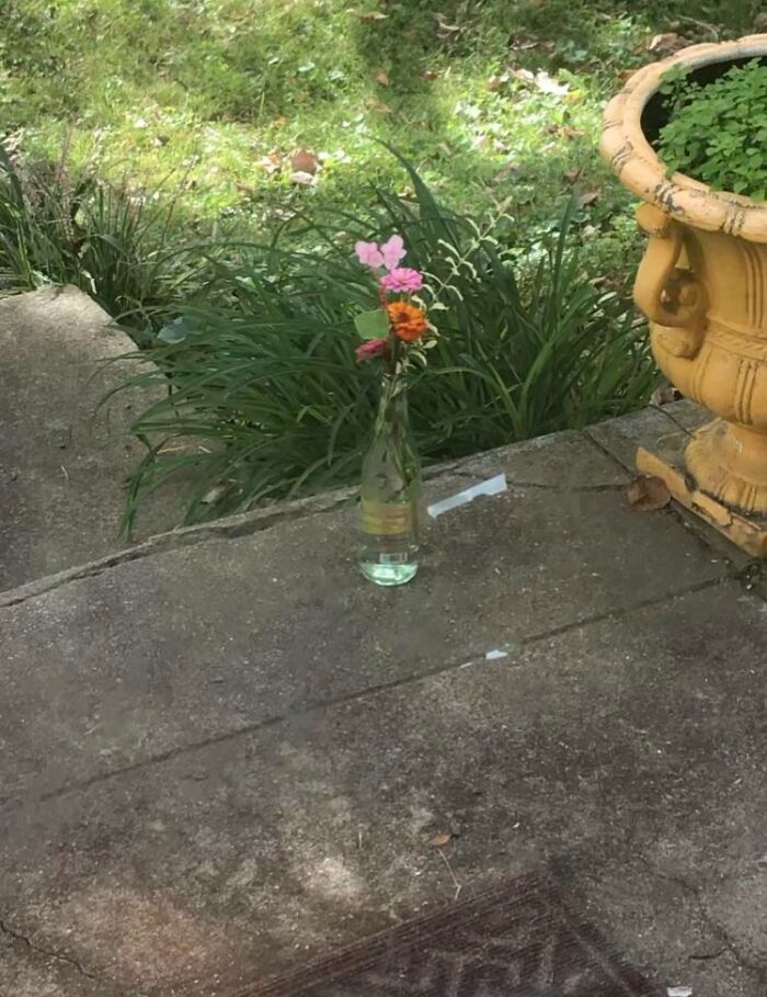 65 People Who Won The Neighbor Lottery Share Their Most Wholesome Moments (New Pics)