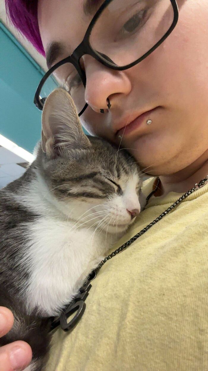 60 Adopted Animals That Are Finally Showered With Love, And It Shows (August Edition)
