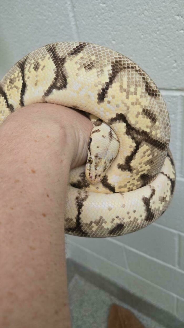 60 Adopted Animals That Are Finally Showered With Love, And It Shows (August Edition)