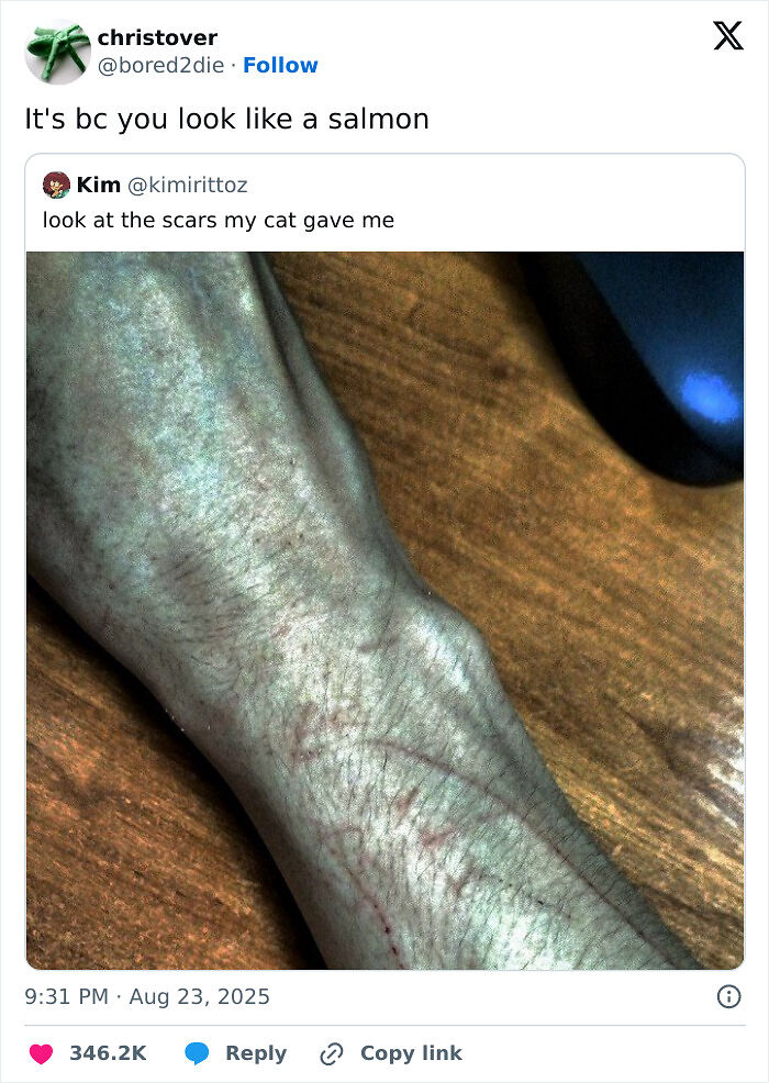 80 Funny And Relatable Tweets From August For Anyone Who Can’t Handle Any More News