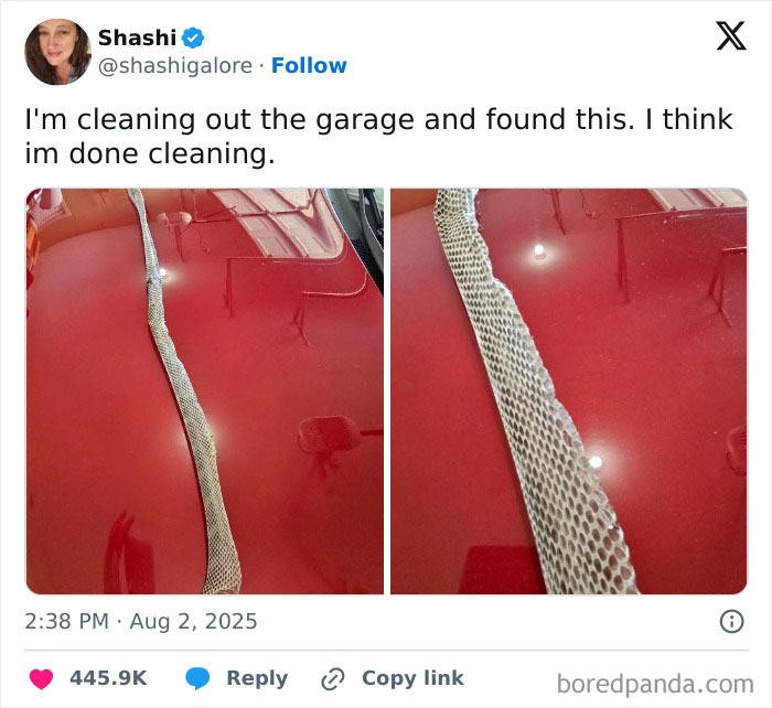 80 Funny And Relatable Tweets From August For Anyone Who Can’t Handle Any More News