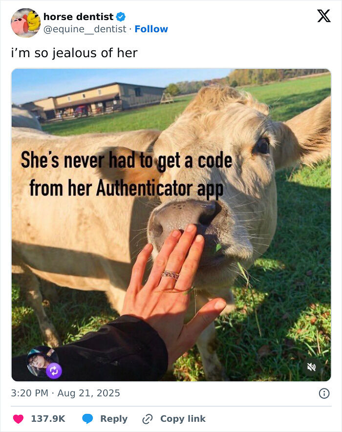 80 Funny And Relatable Tweets From August For Anyone Who Can’t Handle Any More News