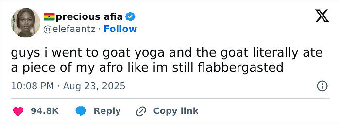 80 Funny And Relatable Tweets From August For Anyone Who Can’t Handle Any More News