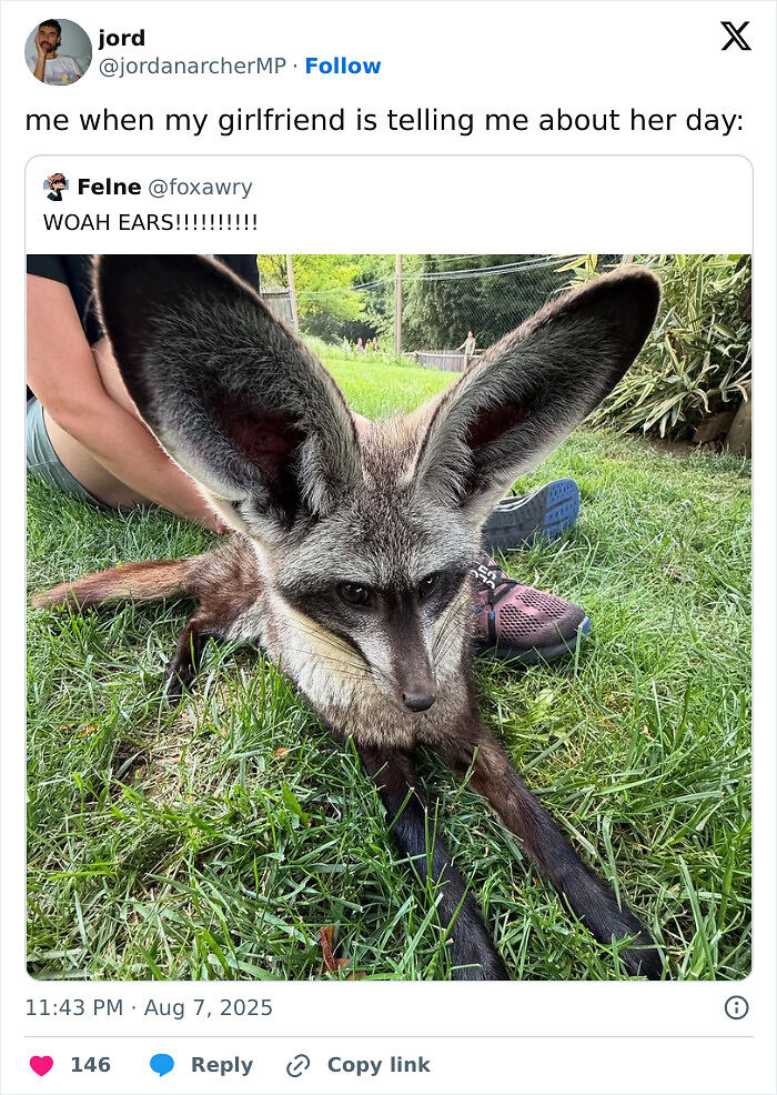 80 Funny And Relatable Tweets From August For Anyone Who Can’t Handle Any More News