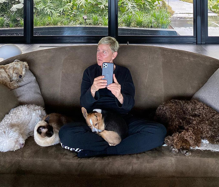 Ellen DeGeneres&#8217; Bullying Controversy Reignites After Former Staff Member Exposes New Claims