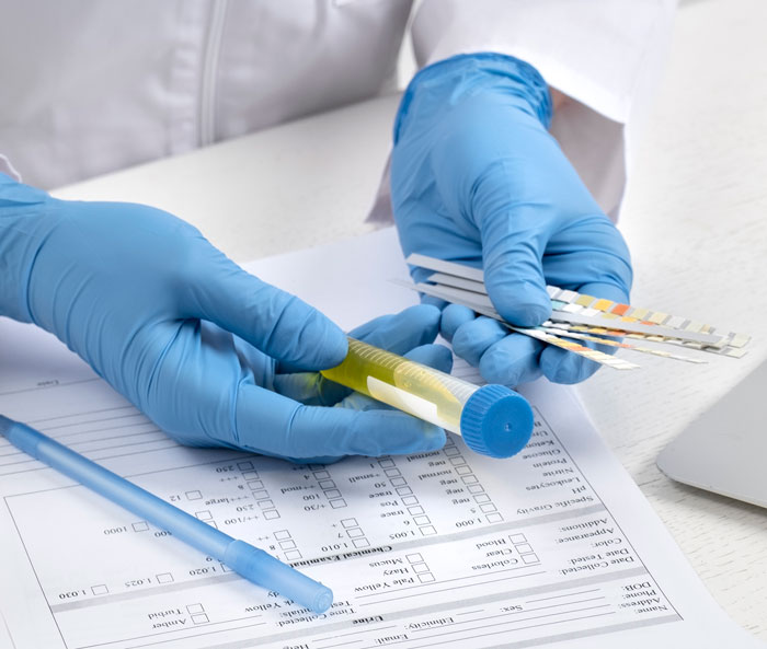 Person Asks The Net For Help After Receiving Bizarre DNA Test Results, Figures Out The Mystery