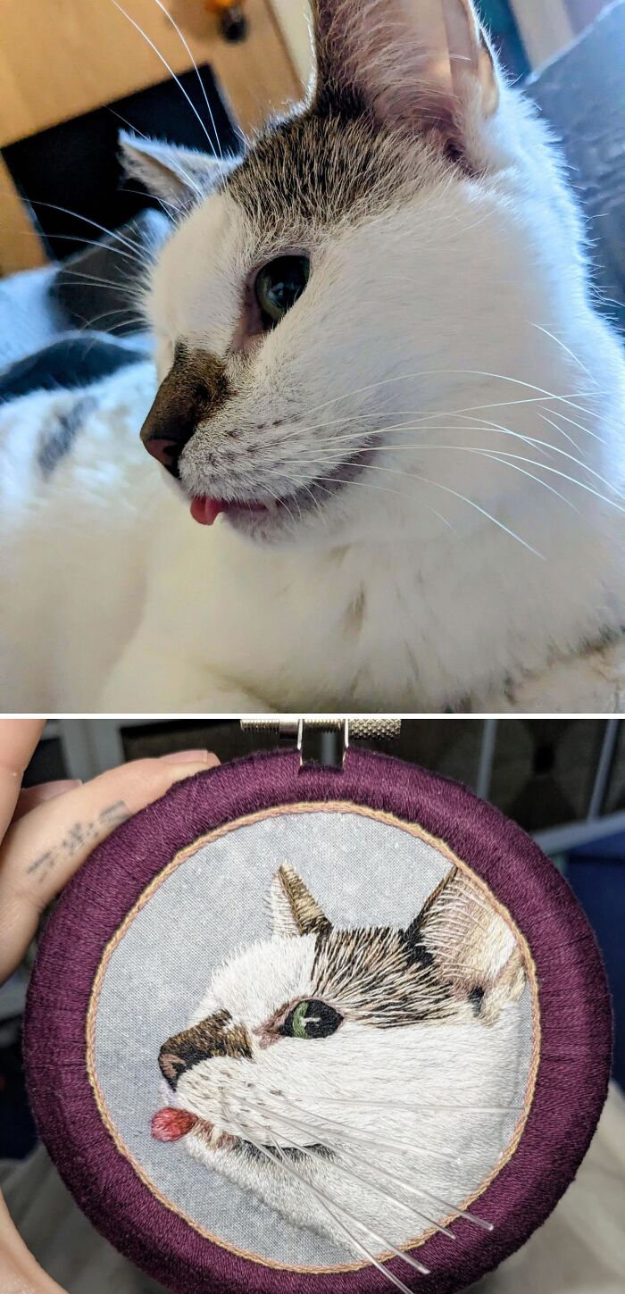 80 Times People Wowed The Internet Through Their Embroidery Skills (New Pics)