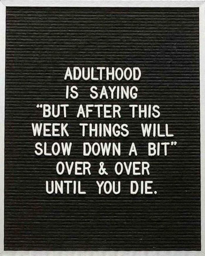 “Delusions Of Adequacy”: 52 Funny Posts That Are Both Brilliant And Completely Unhinged (New Pics)